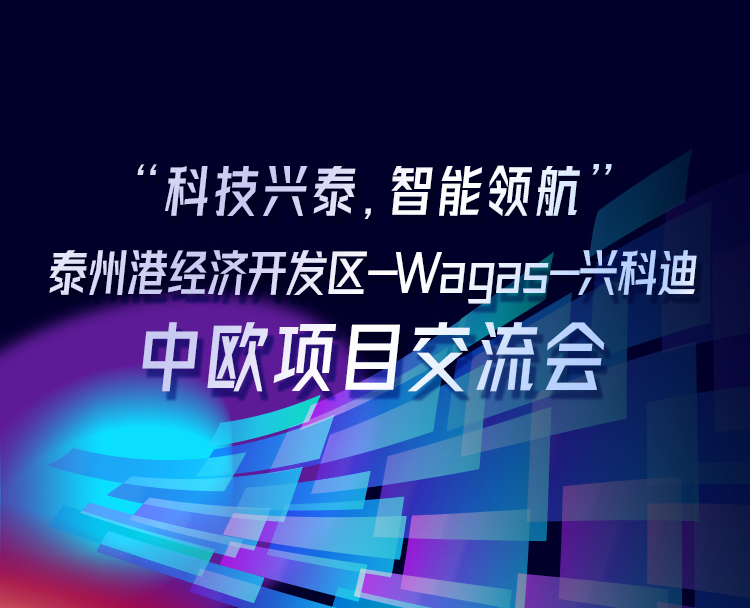 兴快讯丨“科技兴泰 智能领航” 泰州港经济开发区&WAGAS集团&兴科迪集团中欧项目技术交流会